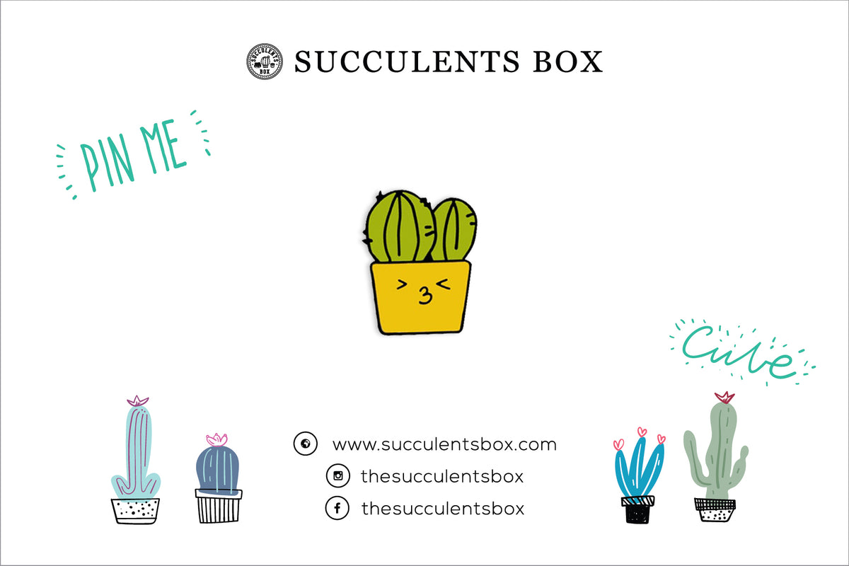 succulent lapel pin Cactus Soft Enamel Pin | Cactus Pin Badge | Succulent Gift Ideas | Cactus Party