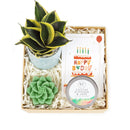 cute holiday cards, modern holiday cards, holiday cards 2025, holiday cards sale