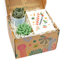 cute holiday cards, modern holiday cards, holiday cards 2025, holiday cards sale