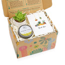 gift box companies, gift box for sale, unique gift box, Thank You Succulent Gift Box for sale online, Thank you Personalized Succulent Gift Box Set, Succulent and Candle Gift Set for sale, Mother&#39;s Day Plant Gift Ideas 2025