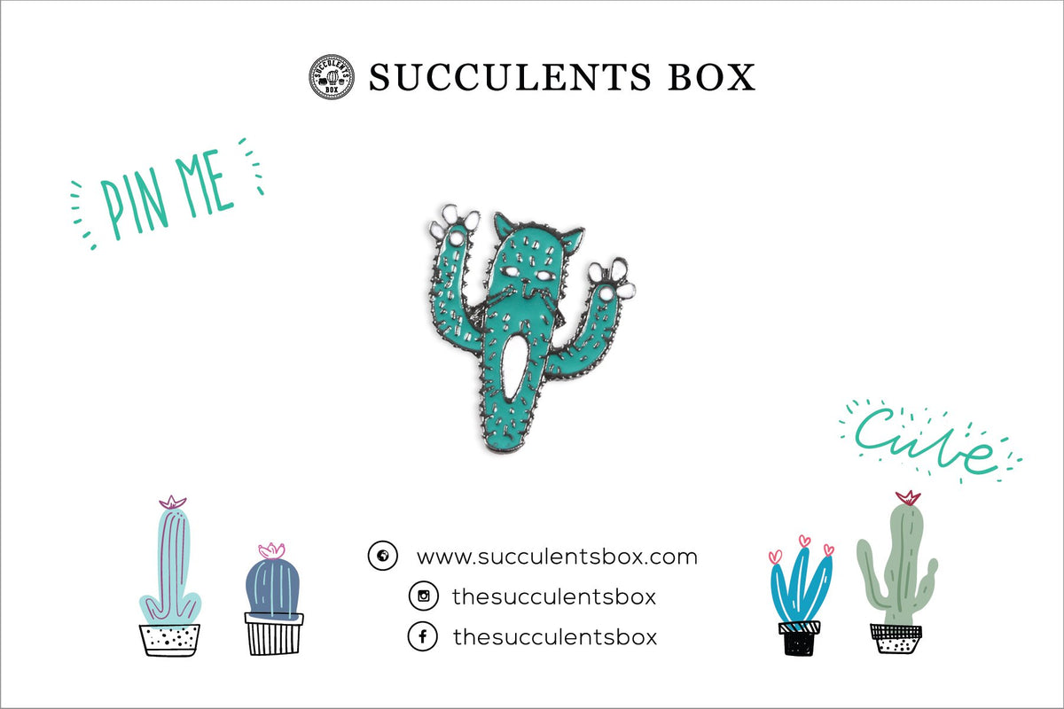 Cactus Cat Enamel Pin for sale, cat brooch for sale, cat cactus lovers, cactus gift box, succulents gift ideas, Gifts for cat lovers, Gifts for plant lovers, cactus, cactus succulent, succulent cactus, cacti, cactus and succulents, succulents box, succulent shop, buy succulents online