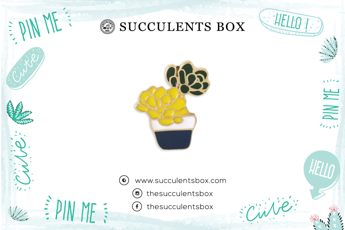 Succulent Enamel Pin for sale, Plant Hard Enamel Lapel Pin for sale, Gift Ideas for Succulent Lovers, Succulents Gift Ideas, Succulent Decoration 