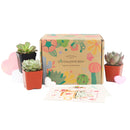 Succulent Gift Boxes, Succulent Subcription Boxes for sale, Succulents for Sale, Types of Succulents, Succulents Shop in California, Succulents and Cactus Plants, Cactus Box, Subscription Box with Care Instruction, Succulent Subscription Gift Box Monthly