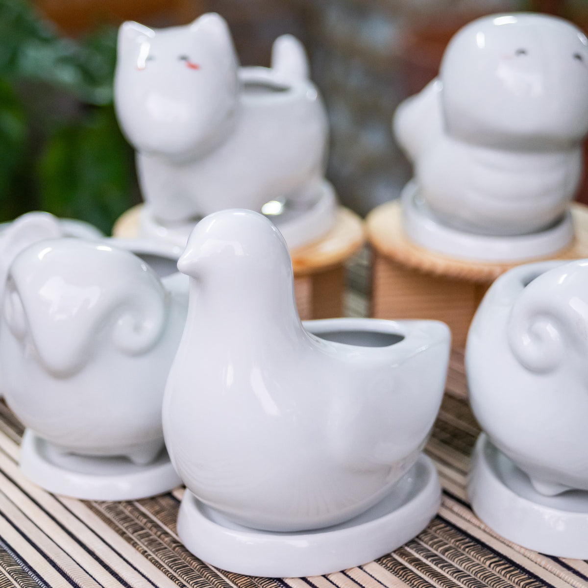 ceramic chic pot for sale, succulent pot for sale, succulent pot with drainage hole, white ceramic pot for succulent and cactus