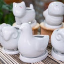 ceramic chic pot for sale, succulent pot for sale, succulent pot with drainage hole, white ceramic pot for succulent and cactus