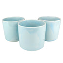 tall plant pot, plant pot ideas, female pot plant, blue pot, pot for plant, ceramic plant pot, indoor plant pot, small plant pot, modern plant pot, ceramic blue pot, chinese plant pot, long plant pot, air plant pot, succulent plant pot, blue ceramic plant pot, plant pot set, blue pot set