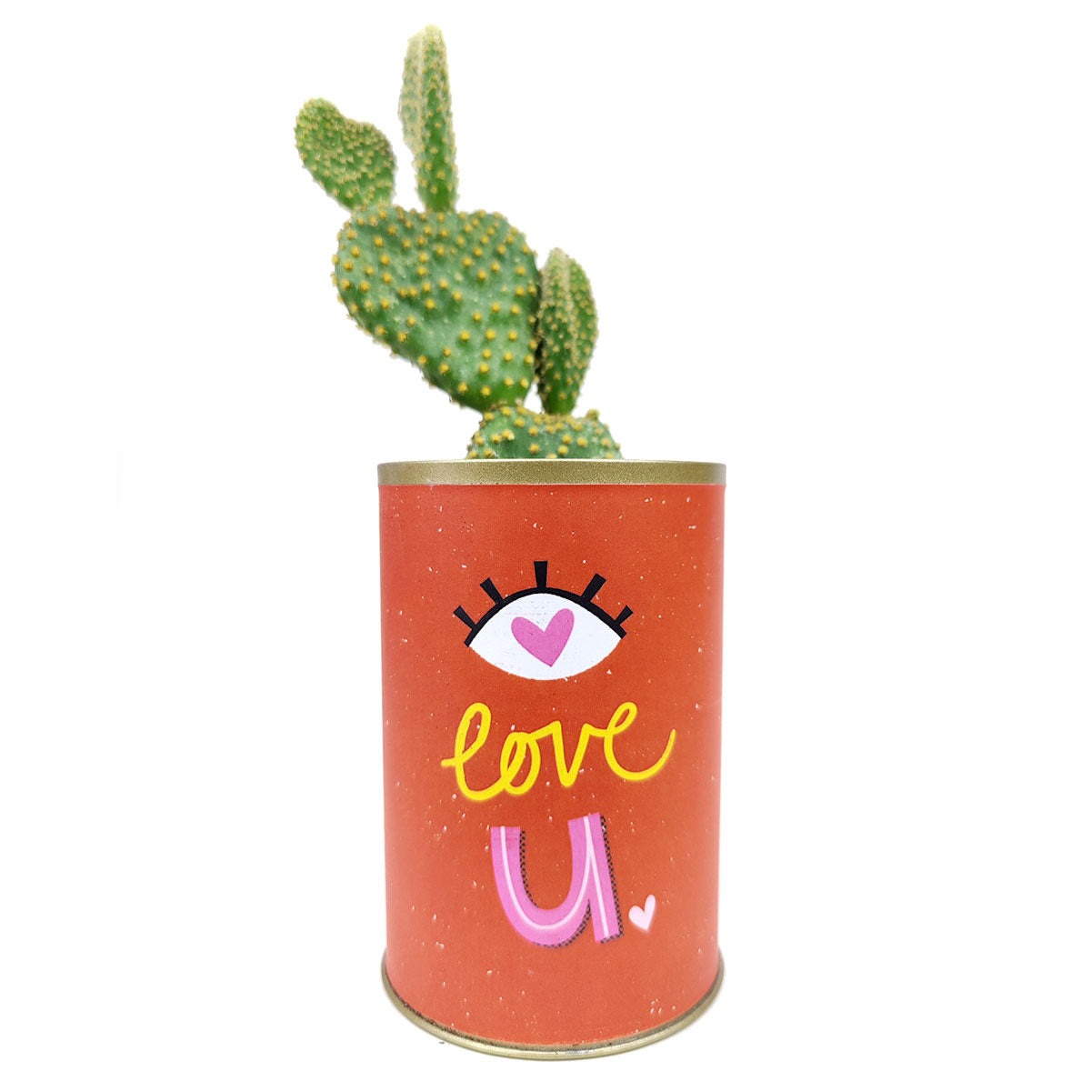punny tin can for sale, tin pot for succulent and cactus, Valentine's day gift ideas, succulent gift ideas, funny pot for sale, Valentine gift for your lover