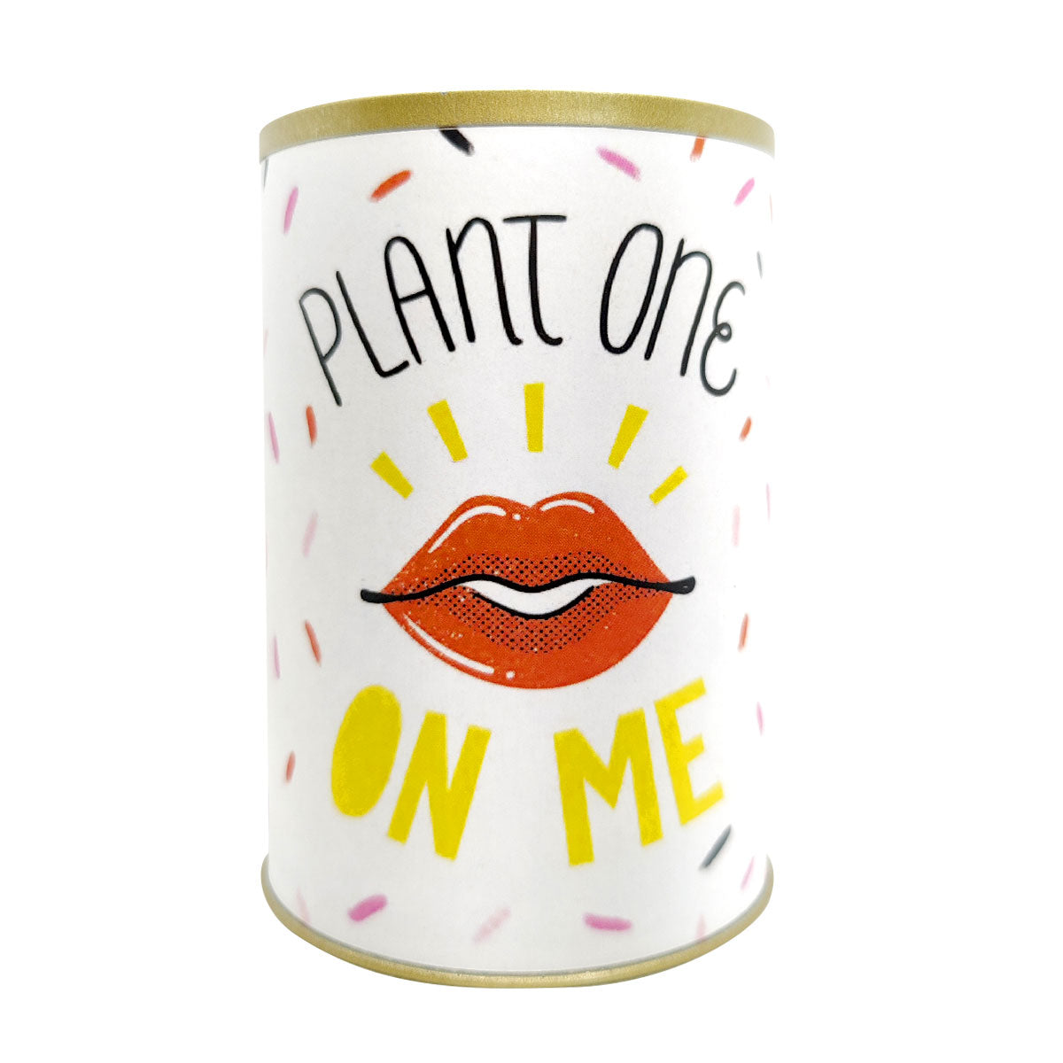 punny tin can for sale, tin pot for succulent and cactus, Valentine's day gift ideas, succulent gift ideas, funny pot for sale, Valentine gift for your lover