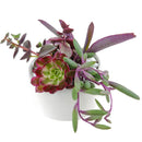 succulent gifts, succulent arrangement ideas, succulent arrangement, how to make a succulent arrangement, succulent arrangement delivery, succulent flower arrangement delivery, teacher appreciation gifts succulent, succulent flower arrangement, unique diy memorial gifts, Succulent Gift for Men, Thank You Gift Dad, Appreciation Gift for Dad