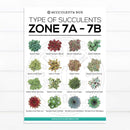 best succulent image, collection of Printable Succulents Art, digital printable succulent, choosing succulent for zone, Succulent designs Zone, Succulents Hardiness Zone, Printable Arts: Types of Succulent Zones for sale, Succulent Printable, succulent printable selection, succulent decor idea, succulent gift, succulent art