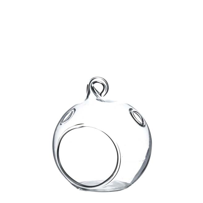 Glass Globe Terrarium Pot