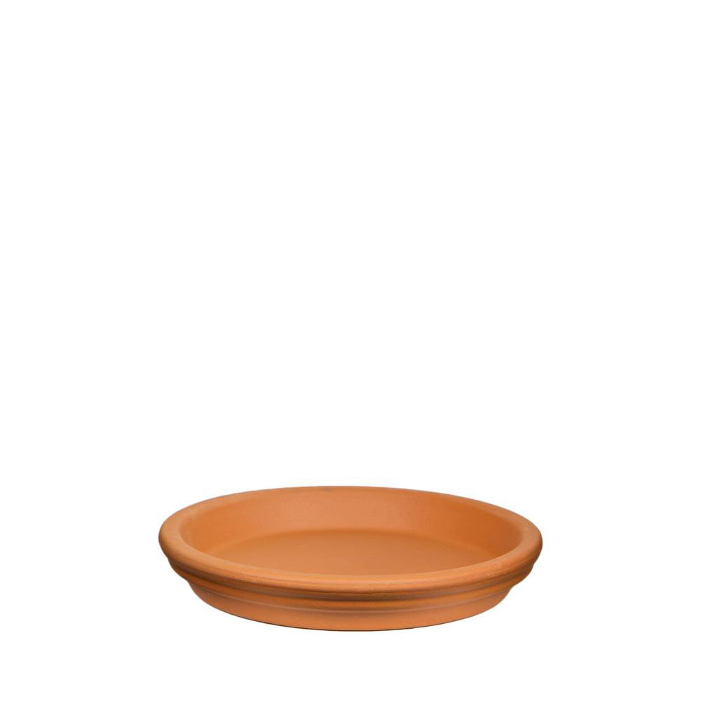Buy brown clay pot saucer, diy pot, succulent box, succulent pot for sale, types of succulent pots, terracotta pot has drainage hole, mini brown pot, plant pot flower pot, home decor ideas
