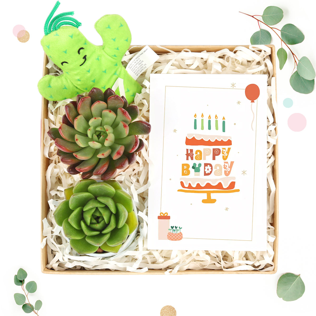 EcoFriendly Succulent Gift Box for Employee, Corporate Gift Succulents For Sale Online, Succulent Thank You Gift Ideas, Thank you gift for your staff in 2023, Customizable Gift Boxes for employees and clients, Office gift for employees, Employee appreciation day 2023 ideas, Succulent Plants for Clients &amp; Employees for sale, birthday gift ideas