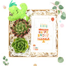 cute holiday cards, modern holiday cards, holiday cards 2025, holiday cards sale