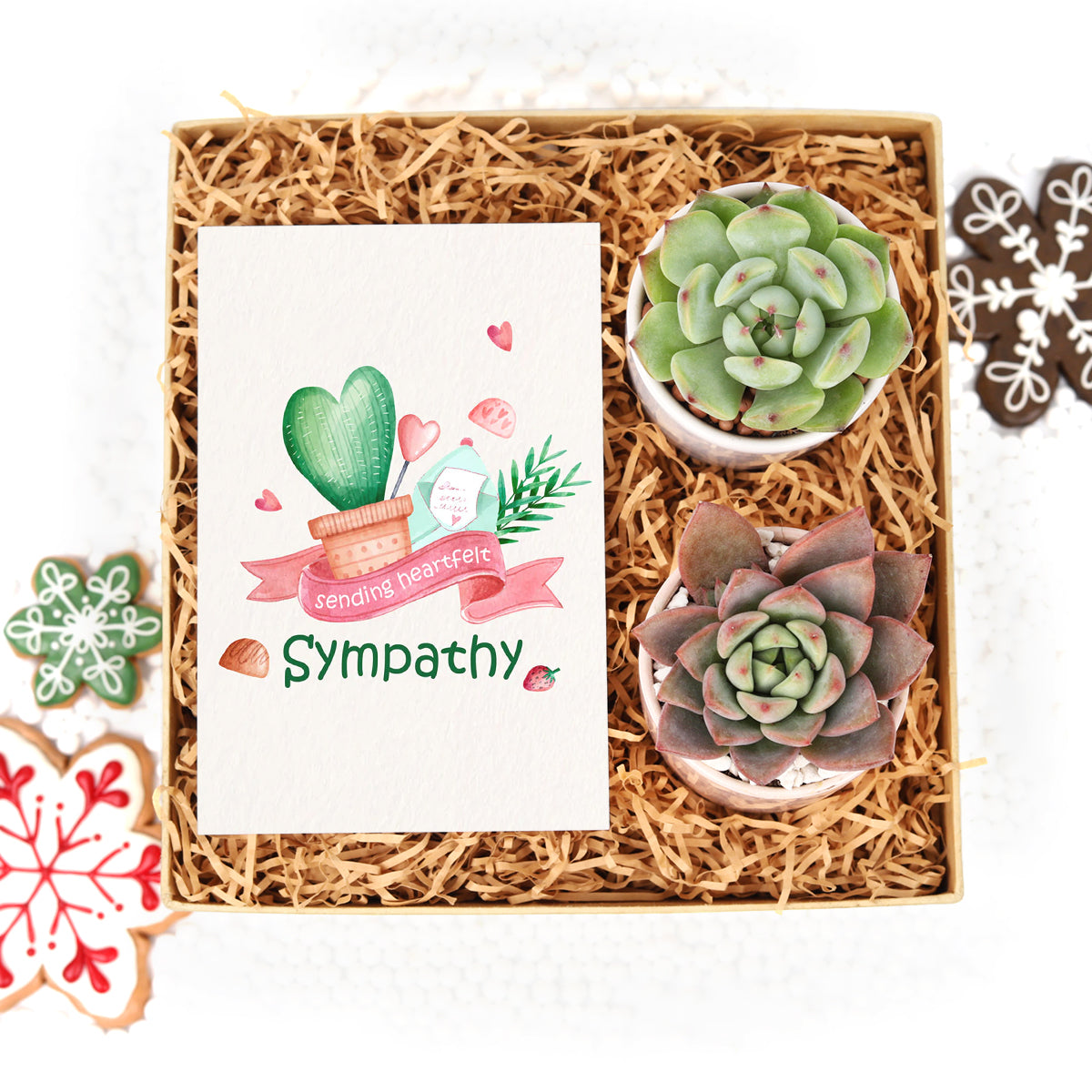 gift ideas for succulent lovers Unique Christmas Gifts: Succulents Gift Box for your Plant Lovers