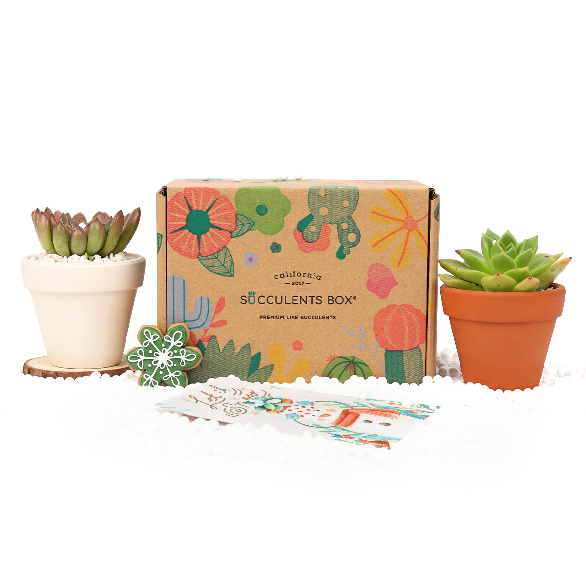 eco friendly subscription box, plant box subscription, sustainable subscription box, subscription christmas gifts, christmas gift subscription ideas, subscription boxes christmas gift, Succulents Shop in California, Succulents, Cactus, Indoor Plants