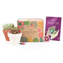 Succulent Subcription Boxes, Succulent Subscription Boxes, Succulents Box Monthly, Succulents for Sale, Succulents Box with Care Guide, Cactus Boxes, Succulent Plant