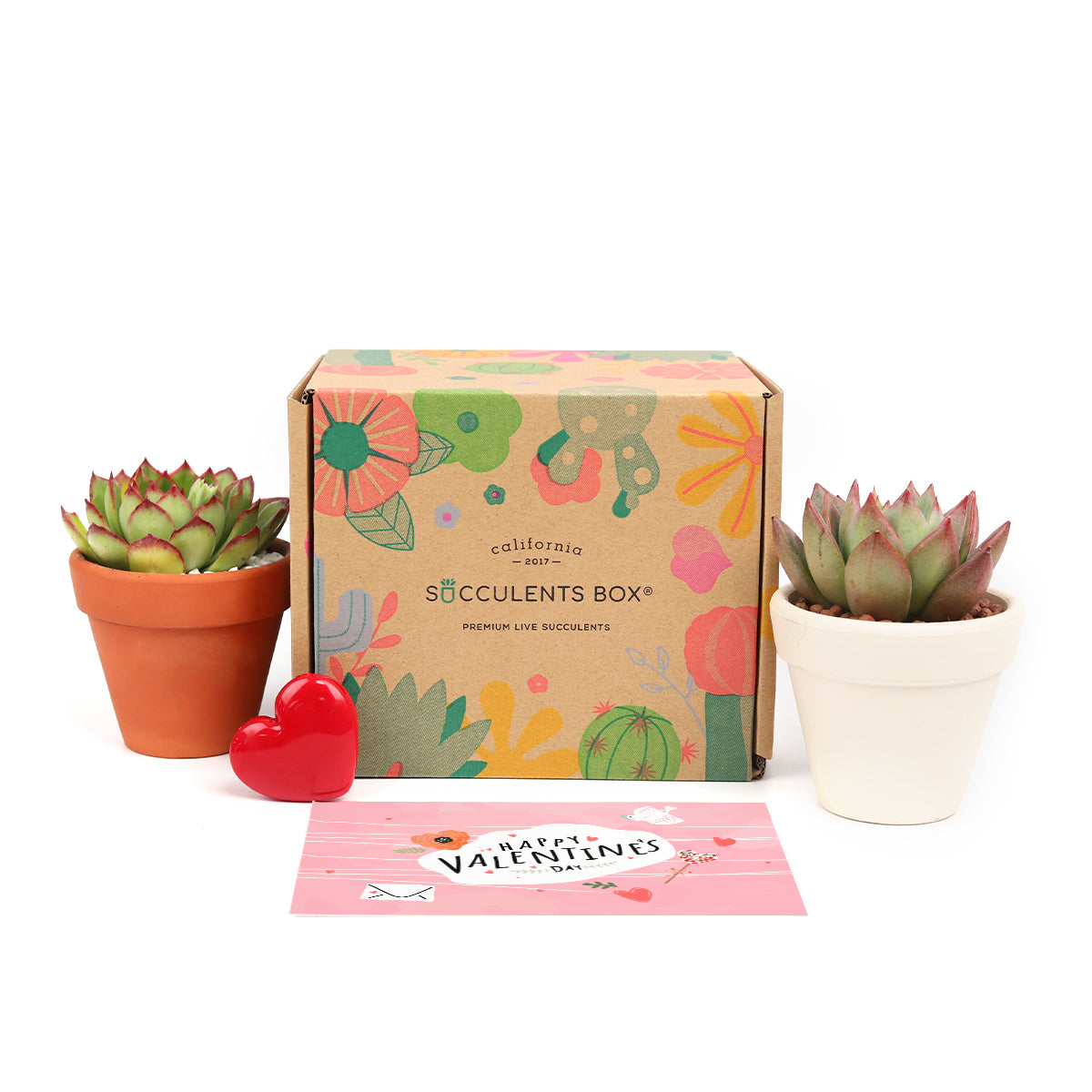 valentine subscription box, valentine subscription, subscription, best succulent subscription box, succulent lovers subscription box, succulent subscription box usa