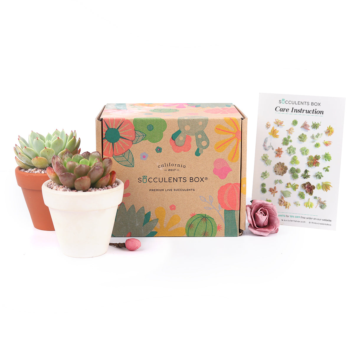 Succulent Subscription Boxes, Succulents Box Monthly, Succulents for Sale, Succulents Box with Care Guide, Succulent Plant, subscription box service, eco friendly subscription box, plant box subscription, personalized mother's day gifts, mother day gifts, mother's day subscription box, subscription boxes for mother's day
