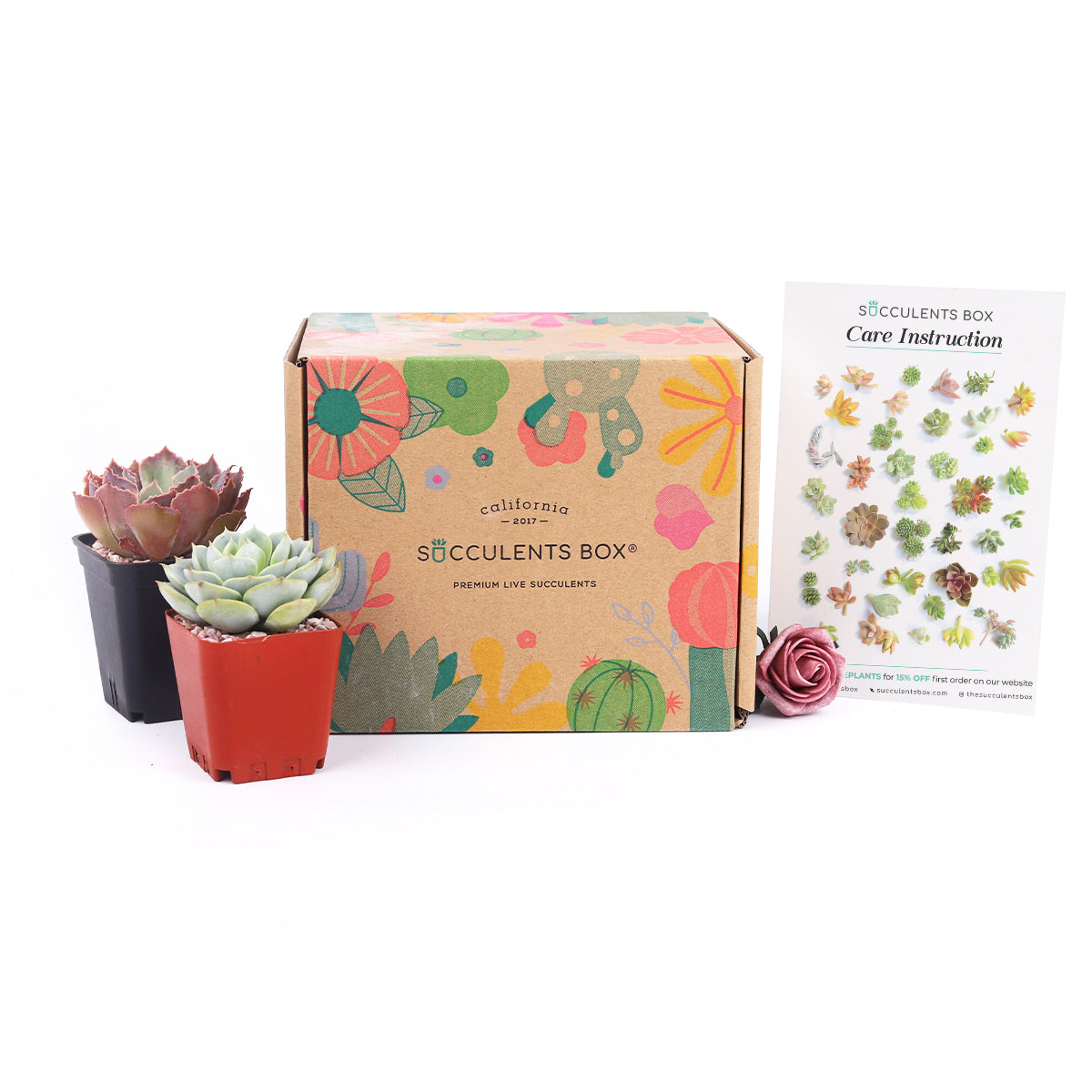 succulents box lake forest Monthly Succulent Subscription Boxes with Care Instruction | Send Succulent Gifts