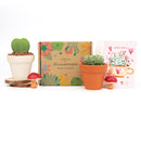 Succulents for Sale, Types of Succulents, Succulents Shop in California, Succulents and Cactus Plants, Cactus Box, Subscription Box with Care Instruction, Succulent Subscription Box
