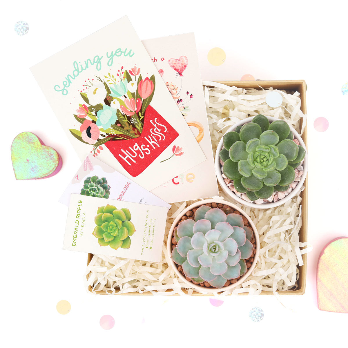 Best Valentine&#39;s Day Gift Boxes 2024, Perfect Valentine&#39;s Day Gift, Valentine Succulent for Sale Online, Best Valentines Day Gifts for Her 2024, Best Valentines Day Ideas for Him, 2024 Valentine&#39;s Day Gifts For Him, Succulent Gifts for Valentine&#39;s Day, Succulents For Valentine&#39;s Day, Succulent Plant Gift Ideas For Valentine&#39;s Day, Best Valentine Gifts 2024