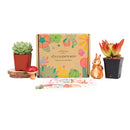 Succulents for Sale, Types of Succulents, Succulents Shop in California, Succulents and Cactus Plants, Cactus Box, Subscription Box with Care Instruction, Succulent Subscription Box