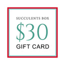 buy gift card online, black friday gift deals gift cards, buy gift card near me, best buy gift card, buy gift card discount, christmas gift card ideas, succulent gift card for any occasion, buy succulents for thanksgiving