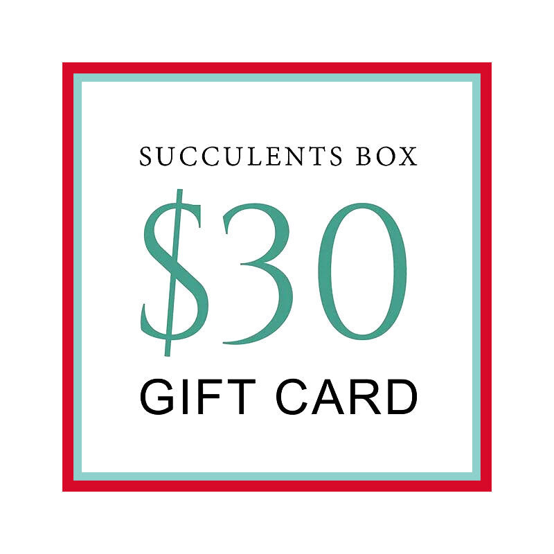 buy gift card online, black friday gift deals gift cards, buy gift card near me, best buy gift card, buy gift card discount, christmas gift card ideas, succulent gift card for any occasion, buy succulents for thanksgiving