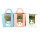 Wedding favor, succulent tray, succulent gift pack, succulents for weddings, random succulents,  succulent gift ideas, random succulent gift ideas, succulent species, succulent plants favor, succulents collection, succulent arrangement, wedding favor ideas, corporate gift ideas