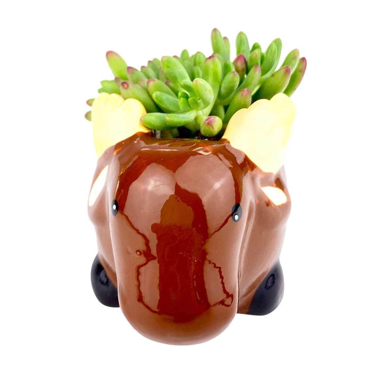 Ceramic Moose Pot for sale, Cute Ceramic Succulent Pot, Moose Planter Decor, Craft Supplies, Succulent Gift Ideas, Moose Succulent Pot