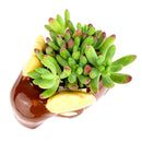 Ceramic Moose Pot for sale, Cute Ceramic Succulent Pot, Moose Planter Decor, Craft Supplies, Succulent Gift Ideas, Moose Succulent Pot