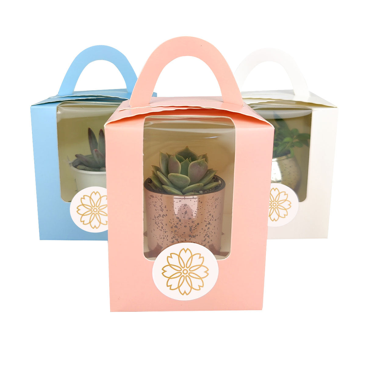 succulent bag Plant Carrier Bag