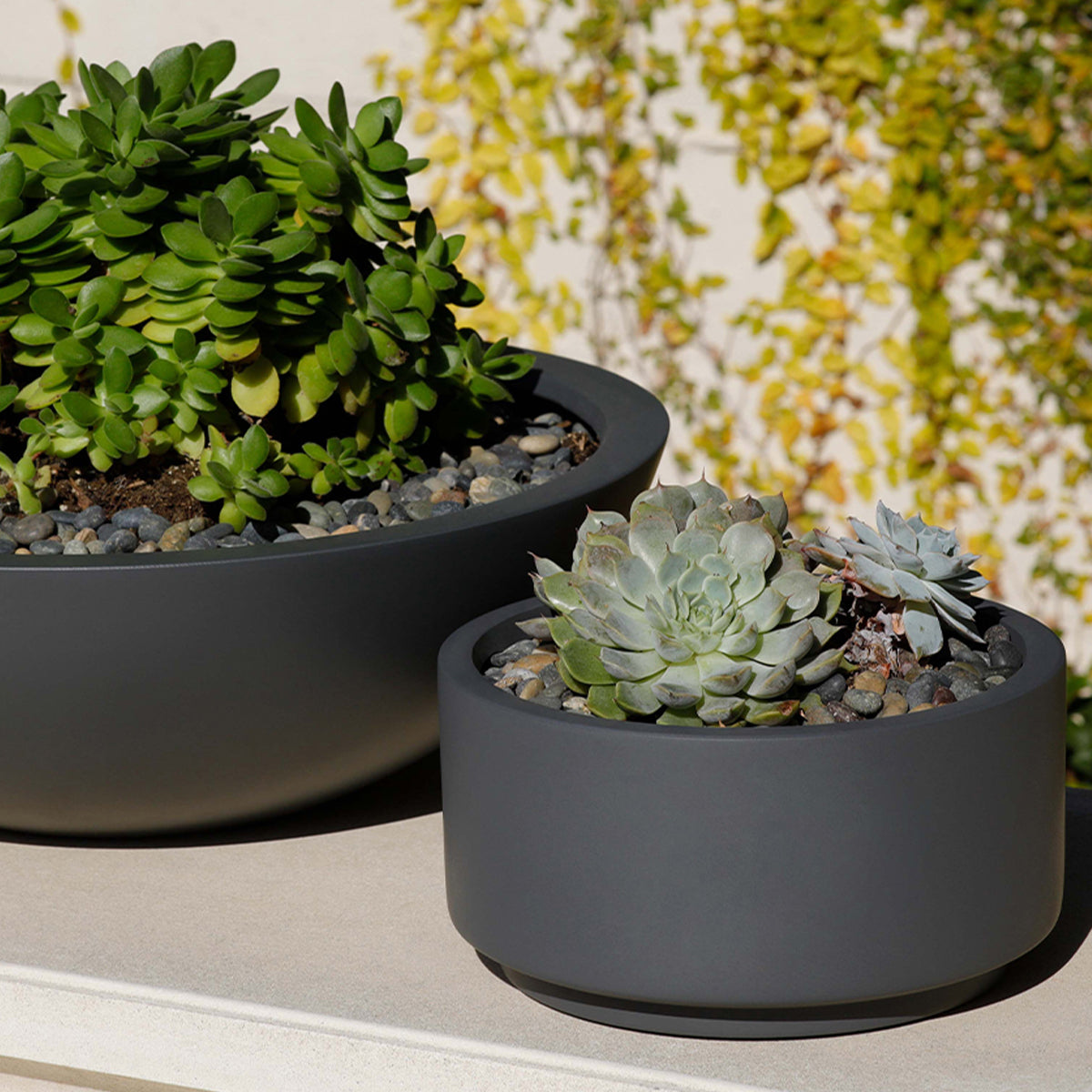 round ceramic succulent planter 7 inch Charcoal Fiberstone Ceramic Pot - Modern Pot for Succulents