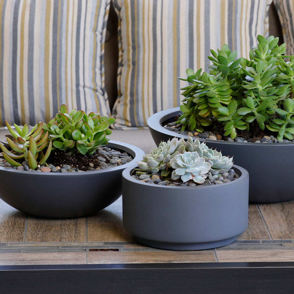 ceramic planters for succulents 8.75 inch Charcoal Fiberstone Ceramic Pot - Pot for Succulents