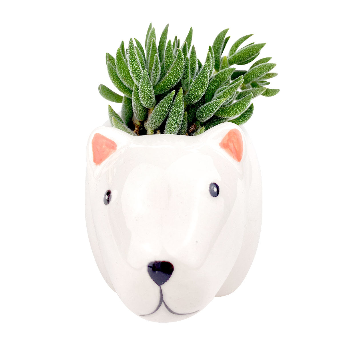 Ceramic Polar Bear Pot for sale, Cute Ceramic Succulent Pot, Polar Bear Planter Decor, Craft Supplies, Succulent Gift Ideas, Polar Bear Succulent Pot
