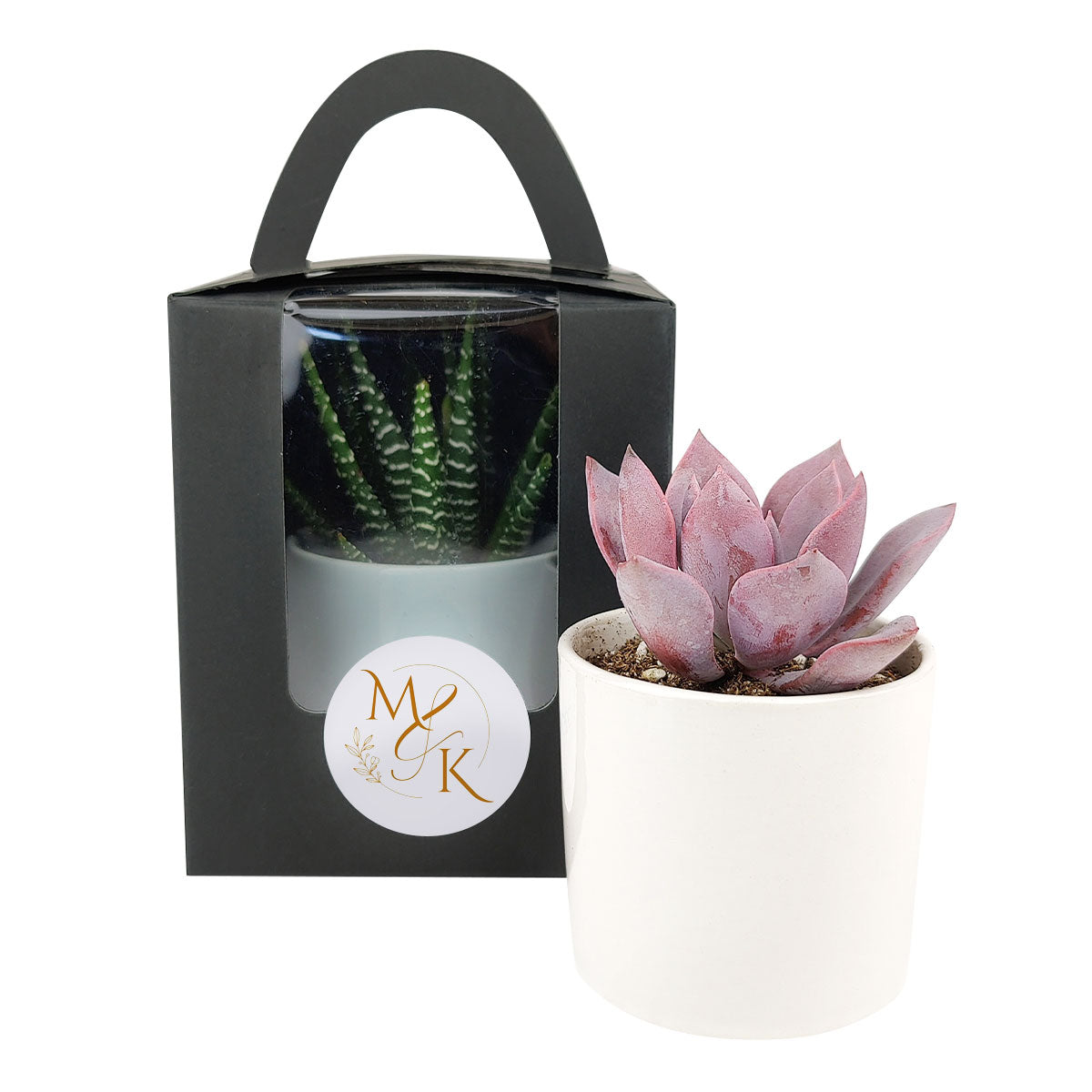 succulent bag Plant Carrier Bag with Handle - Perfect for Party Favors, Wedding, Gifts