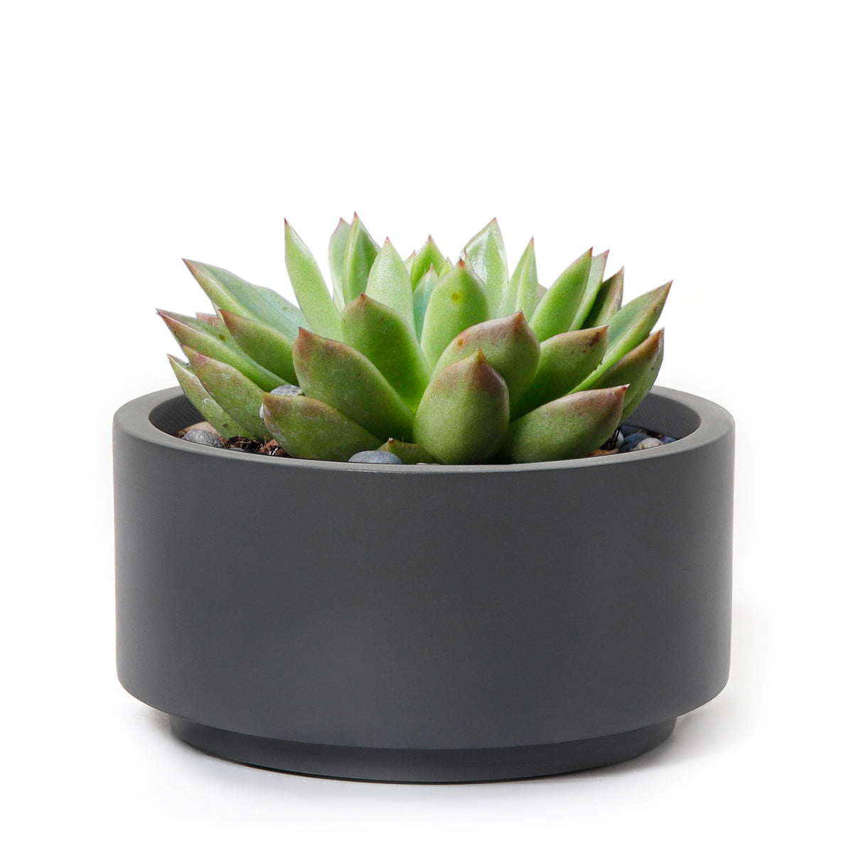 7 inch Charcoal Fiberstone Ceramic Pot