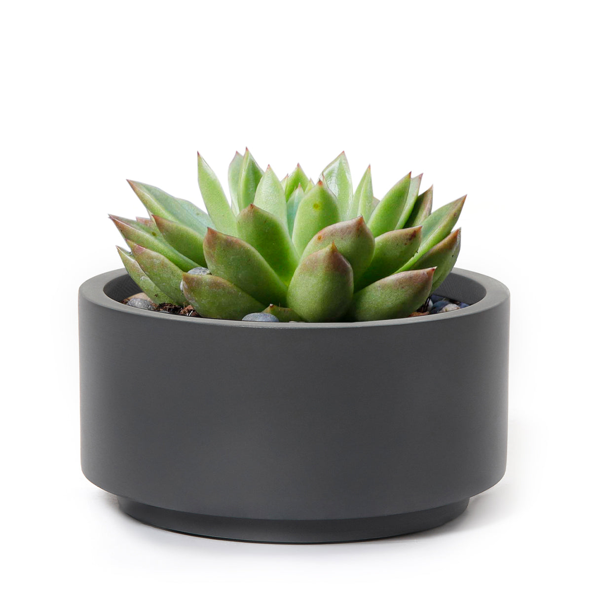 7 inch Charcoal Fiberstone Ceramic Pot, pot for succulent, pot for indoor plant, fiberstone pot, ceramic pot