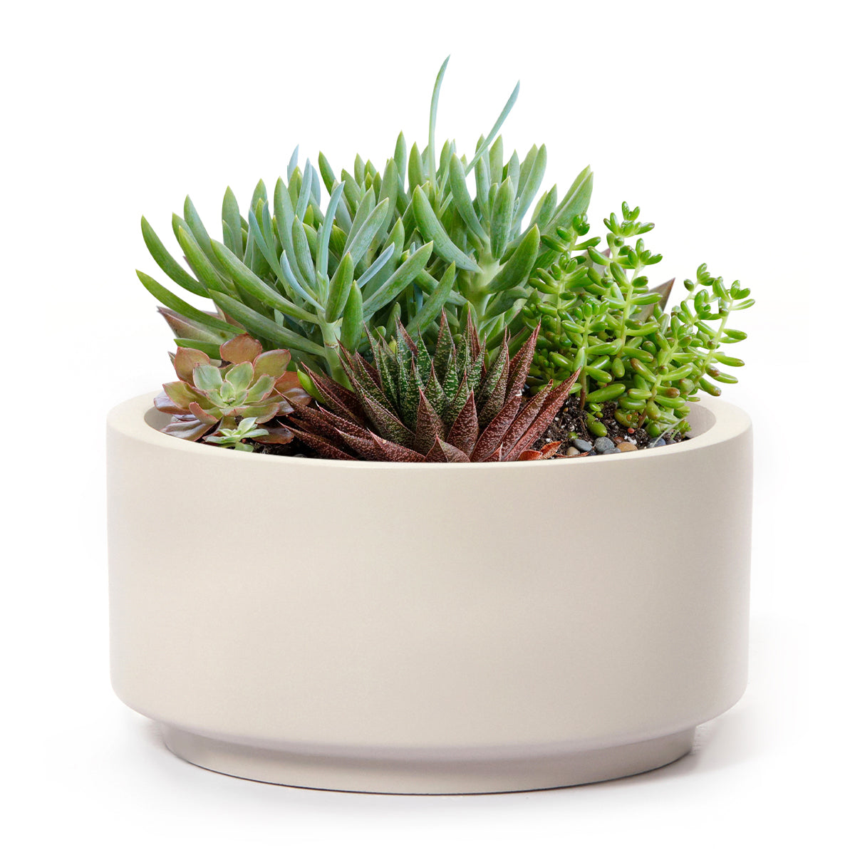 round ceramic succulent planter 7 inch Gray Cream Fiberstone Ceramic Pot - Modern Pot for Succulents