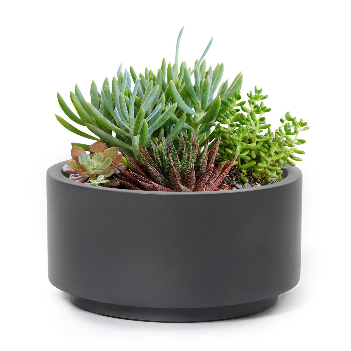 7 inch Charcoal Fiberstone Ceramic Pot, pot for succulent arrangement, succulent arrangement idea, large black pot, fiberstone pot, ceramic pot, pot for succulent