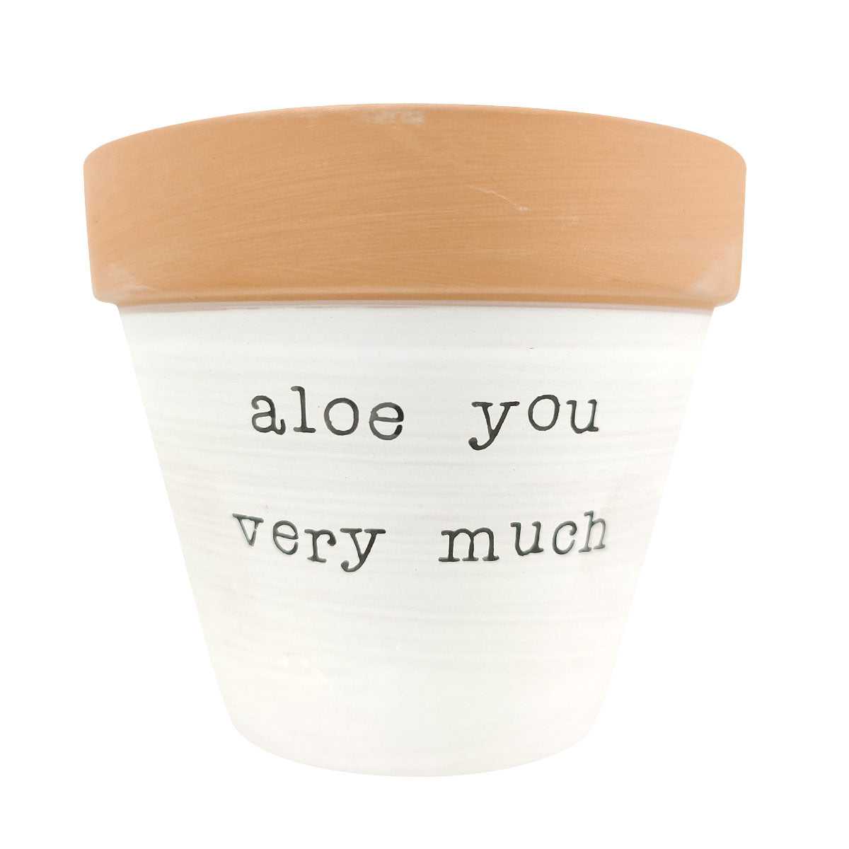 Aloe You Vera Much Pot for sale, Funny Planter, Plant with Pun, Terre cotta succulent and cactus pot, Mother&#39;s Day Gift, Gift for Mom, Indoor Planter, Gift for Plant Lovers