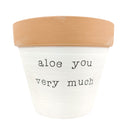 Aloe You Vera Much Pot for sale, Funny Planter, Plant with Pun, Terre cotta succulent and cactus pot, Mother&#39;s Day Gift, Gift for Mom, Indoor Planter, Gift for Plant Lovers