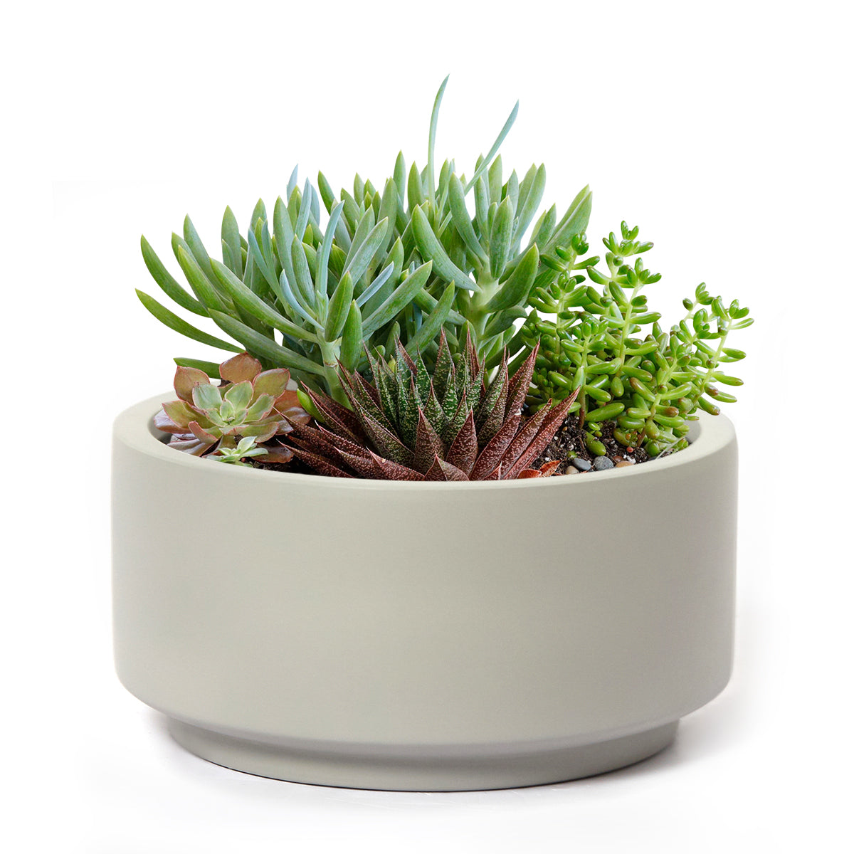 8.75 inch smooth gray fiberstone ceramic pot, fiberstone pot, ceramic pot, pot for succulent arrangement, succulent arrangement, large gray pot