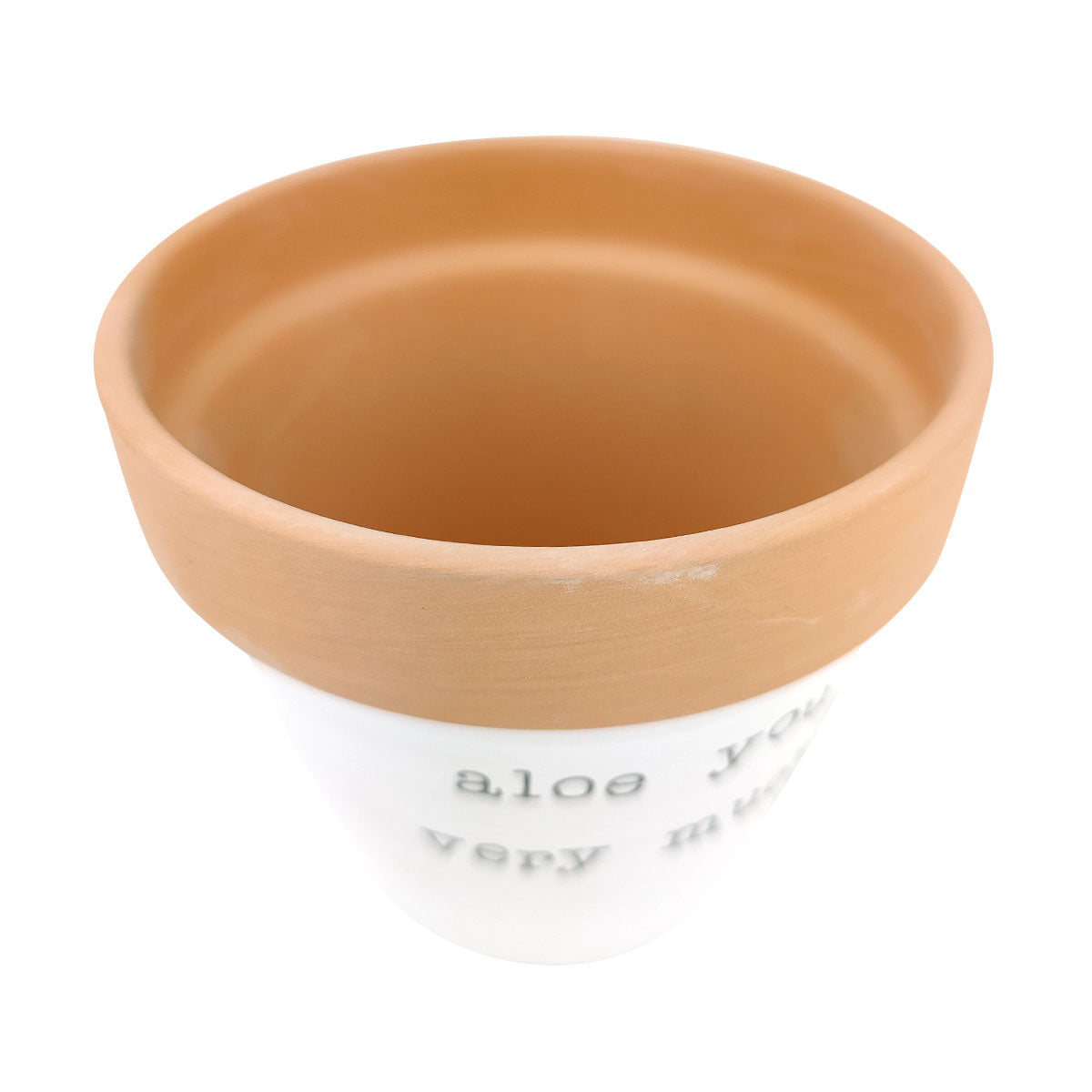 aloe you vera much planter Aloe You Very Much Pot | Funny Pun Succulent Pot | Terra cotta Pot with Drainage Hole