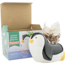 Ceramic Penguin Pot for sale, Cute Ceramic Succulent Pot, Penguin Planter Decor, Craft Supplies, Succulent Gift Ideas, Penguin Succulent Pot, Penguins Pot with Seed Growing Kits