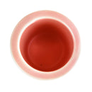 Pink ceramic pot for succulents and cactus, Small decorative plant pot for sale online, Where to buy succulent pot planter