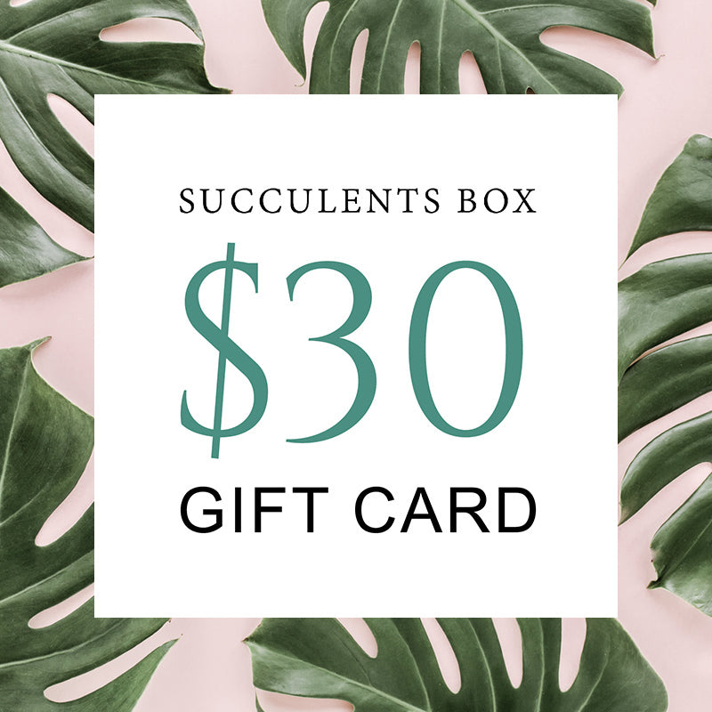 Succulent Gift Card