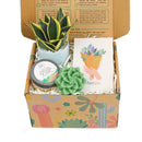 cute holiday cards, modern holiday cards, holiday cards 2025, holiday cards sale