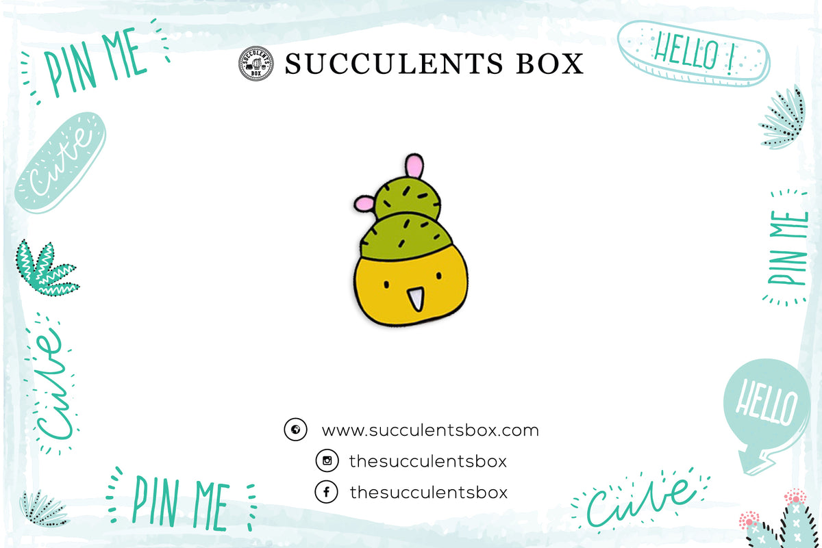 Cute Cactus Enamel Pin for sale, Prickly Pear pin, Metal Plated Lapel Pin, Succulent Pin Badge for sale, Cactus Gift Craft Ideas, cactus, cactus succulent, succulent cactus, cacti, cactus and succulents, succulents box, succulent shop, buy succulents online